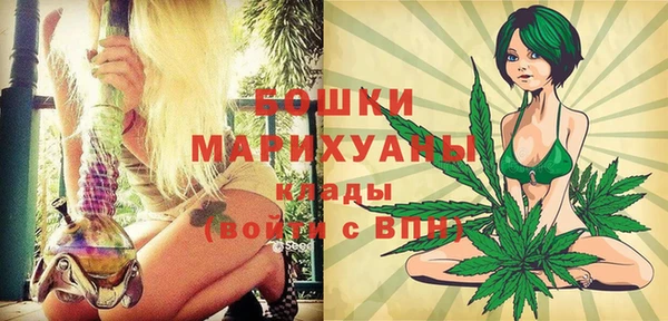 МДПВ Пестово