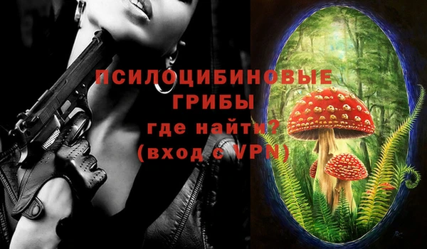 mdma Протвино